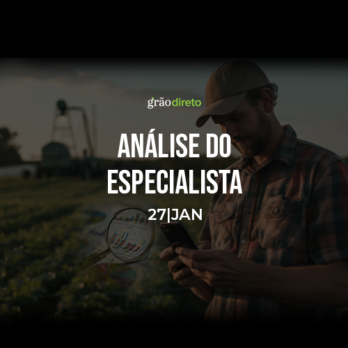 Veja o que pode movimentar o mercado de grãos esta semana 27/01/2025