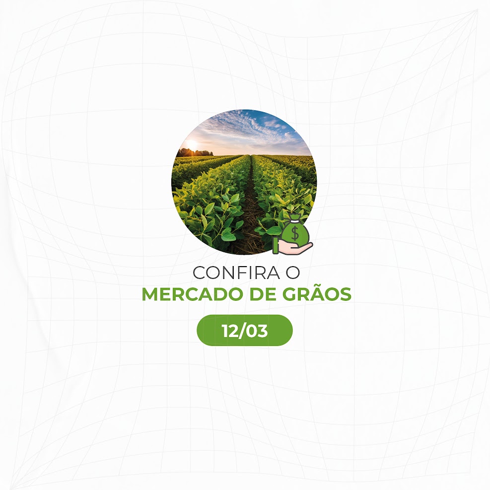 Mercado de grãos hoje 12/03/2025