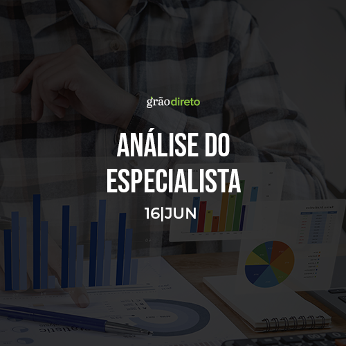 Veja o que pode movimentar o mercado de grãos esta semana 16/06/2025