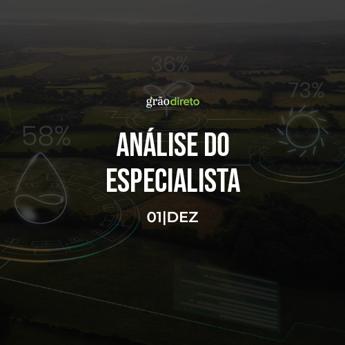 Veja o que pode movimentar o mercado de grãos esta semana 01/12/2025