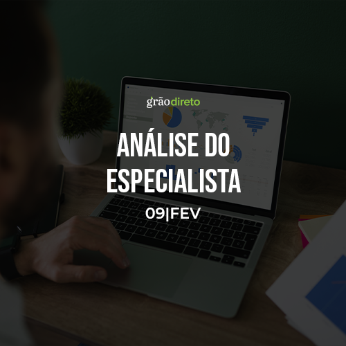 Veja o que pode movimentar o Mercado de Grãos esta semana 09/02/2026