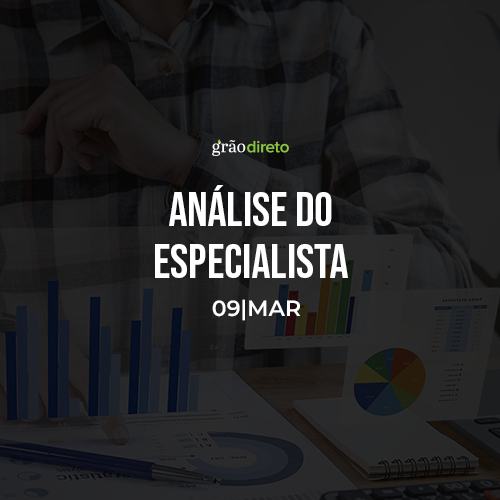 Veja o que pode movimentar o Mercado de Grãos esta semana 09/03/2026