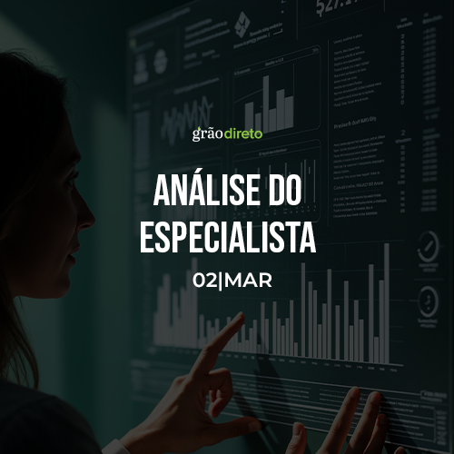 Veja o que pode movimentar o Mercado de Grãos esta semana 02/03/2026