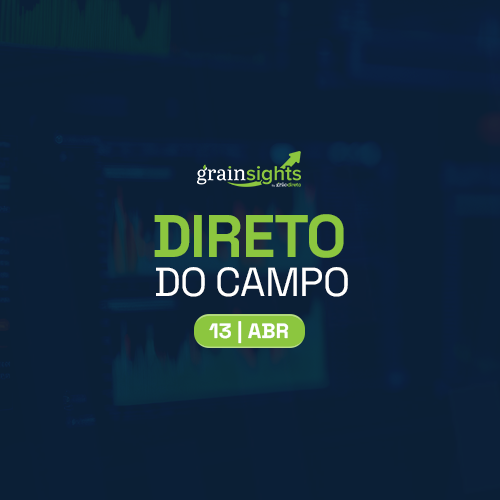 DIRETO DO CAMPO – 13/04/2026