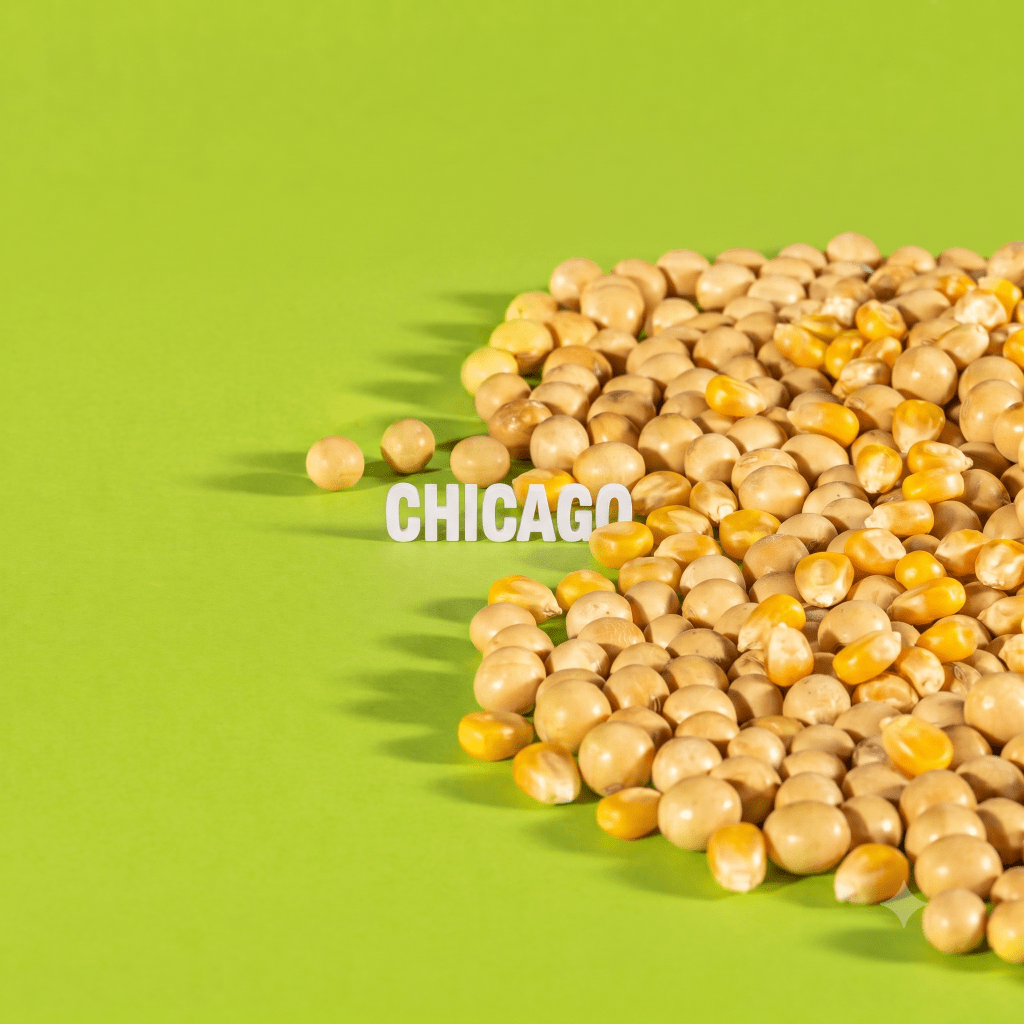 O que está pressionando os grãos em Chicago hoje?